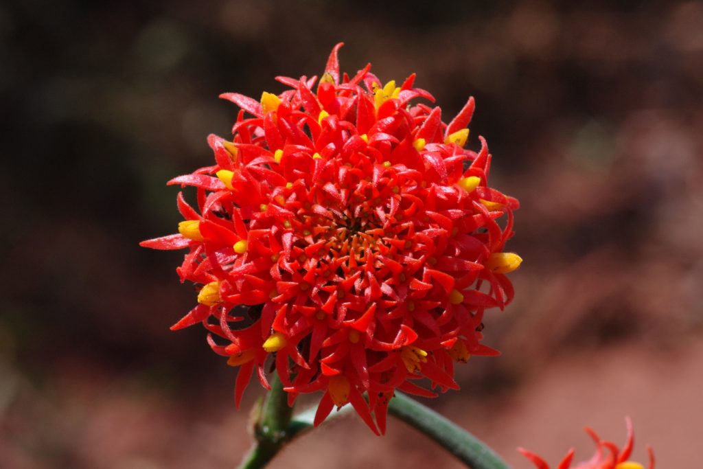 IMGP8197